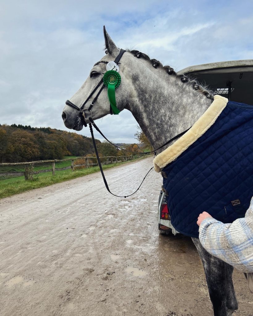 Leistungen 3ffdac67 14ef 44e0 bc35 c795a7fe1aff