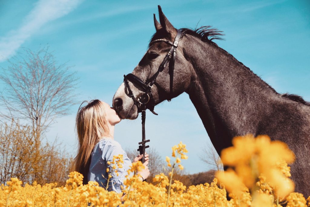 5e445663 a225 46d0 a827 ea6dc01f4d80 5e445663 a225 46d0 a827 ea6dc01f4d80